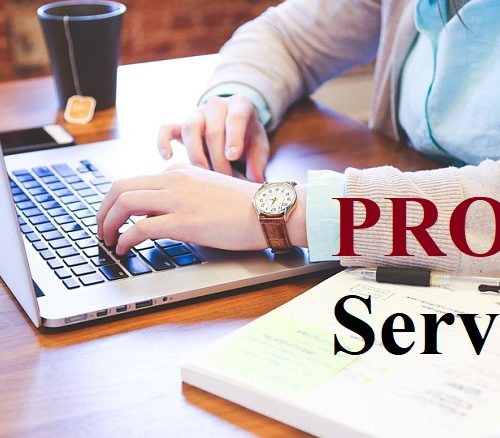 Software Pro Services